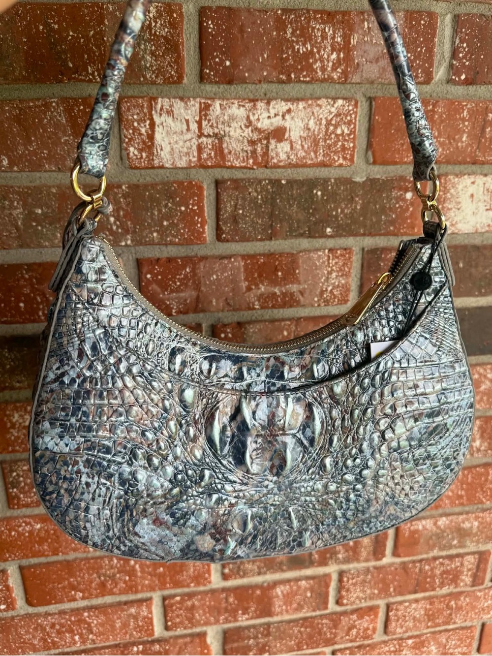 Brahmin Bekka Icy Python - Picture 2 of 5